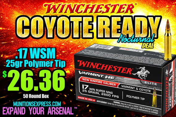Top Left Large Banner Ad